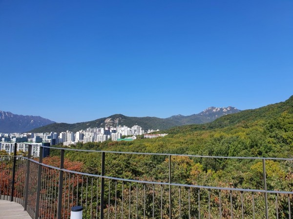 KakaoTalk_20221019_191840254_02 (1).jpg