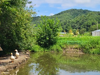 KakaoTalk_20230807_181201698_18.jpg