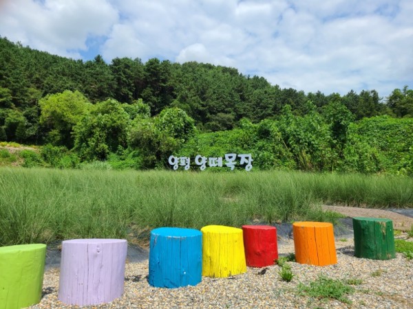 KakaoTalk_20230807_181201698_22.jpg