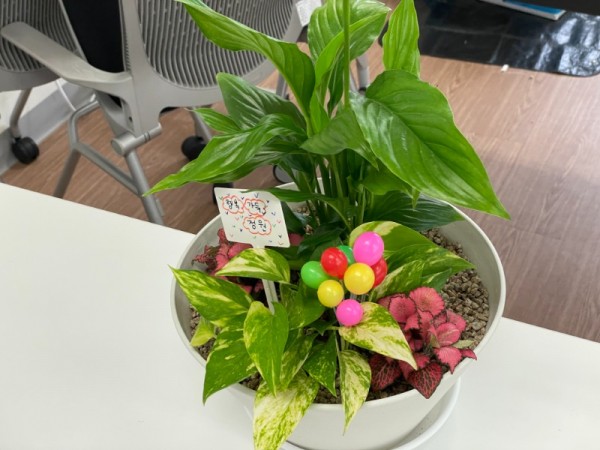 KakaoTalk_20240527_101459657_22.jpg