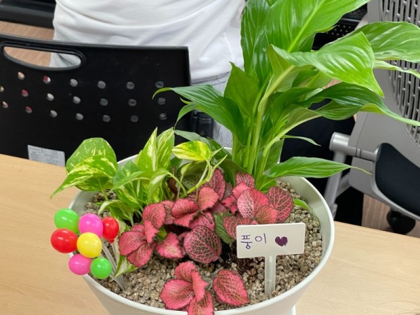 KakaoTalk_20240527_101459657_18.jpg